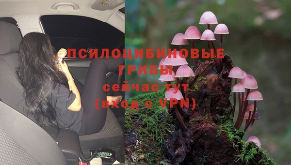 дживик Кукмор